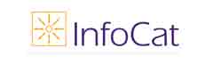 InfoCat : Strengthening the Financial Backbone of Companies