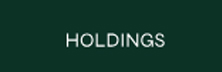 Holdings Financial Technologies