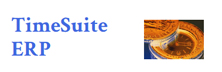 TimeSuite ERP: Comprehensive and Easy-to-use ERP