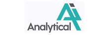Analytical AI  