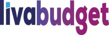 LivaBudget: Improving Budgeting Processes To Increase Efficiency