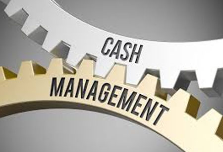 What are the Key Challenges in Cash Management?