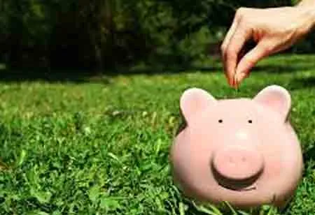 The Importance of Wealth Management 
