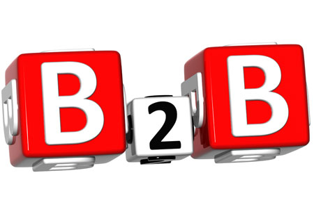 The Complexity of B2B Transactions with Increasing Multiple Payment Platforms